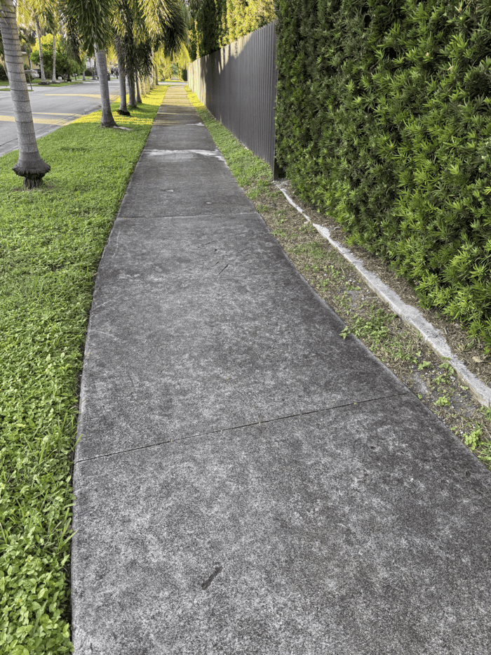 Before and After Driveway Cleaning