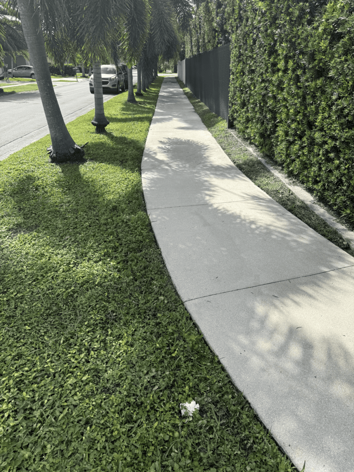 Patio Cleaning Example
